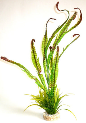 Sydeco Sea Plant 40 cm hoch [P6] – Aquarium-Deko für das Aquarium bei AquascapingForLife