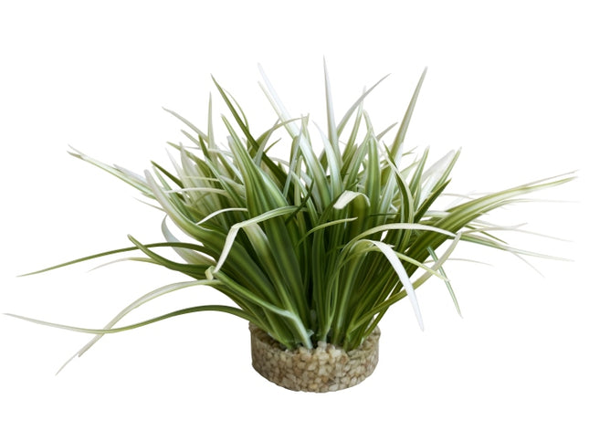 Sydeco Oasis 20 cm hoch [P6] – Kunststoffpflanzen für das Aquarium bei AquascapingForLife