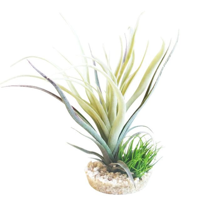 Sydeco Tillandsia fan 22 cm hoch [P6] – Kunststoffpflanzen für das Aquarium bei AquascapingForLife
