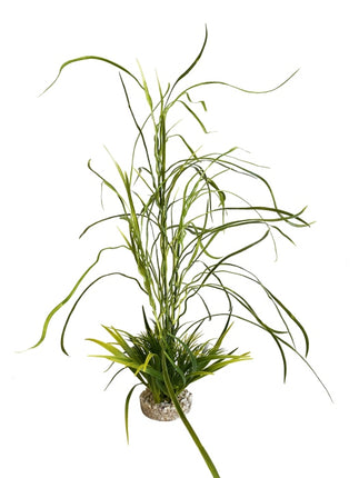 Sydeco Aquaplant medium 22 cm hoch [P6] – Aquarium-Deko für das Aquarium bei AquascapingForLife