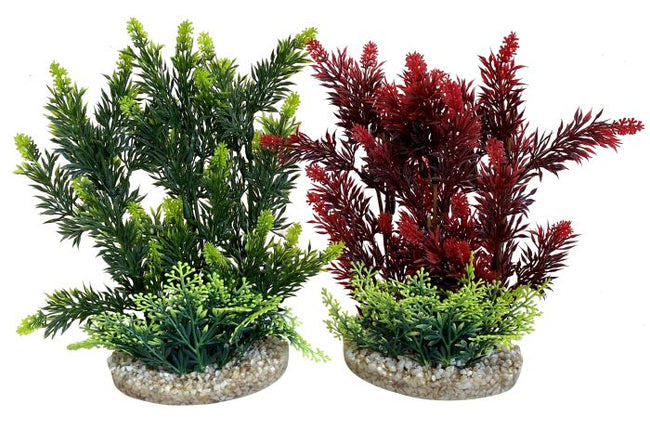 Sydeco Hedge 24 cm hoch [P6] – Aquarium-Deko für das Aquarium bei AquascapingForLife