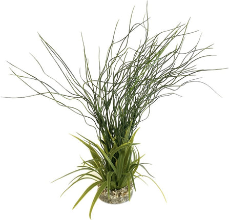 Sydeco Water hair grass 39 cm hoch [P6] – Aquarium-Deko für das Aquarium bei AquascapingForLife