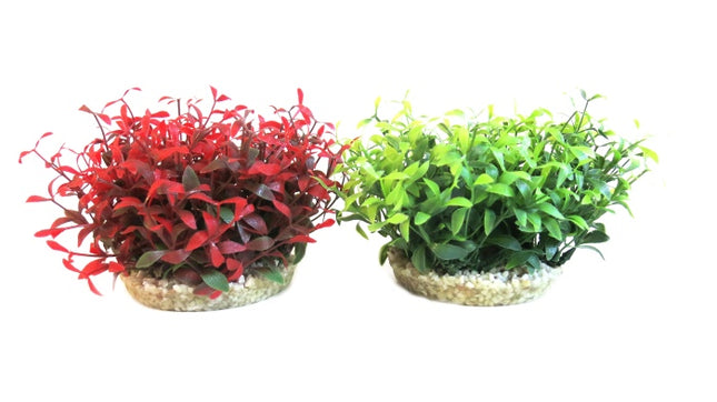 Sydeco Water ball maxi 10 cm hoch [P4] – Aquarium-Deko für das Aquarium bei AquascapingForLife