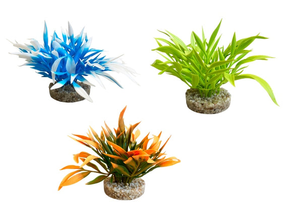 Sydeco Nano Bush coloures 9 cm hoch [P12] – Aquarium-Deko für das Aquarium bei AquascapingForLife