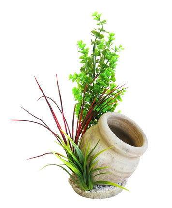 Sydeco Jar plant 35 cm hoch [P3] – Aquarium-Deko für das Aquarium bei AquascapingForLife