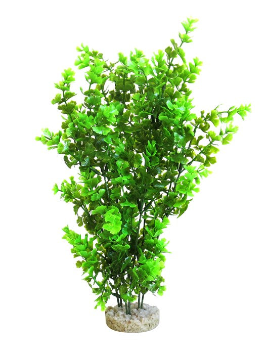 Sydeco Butterfly XL 36 cm hoch [P5] – Kunststoffpflanzen für das Aquarium bei AquascapingForLife