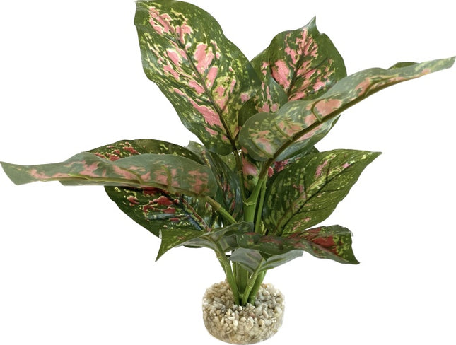 Sydeco Wild Star 28 cm hoch [P6] – Kunststoffpflanzen für das Aquarium bei AquascapingForLife