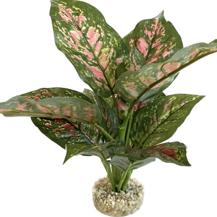 Sydeco Wild Star 28 cm hoch [P6] – Kunststoffpflanzen für das Aquarium bei AquascapingForLife