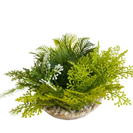 Sydeco Fiesta Moss hoch [P ] – Ansicht 2