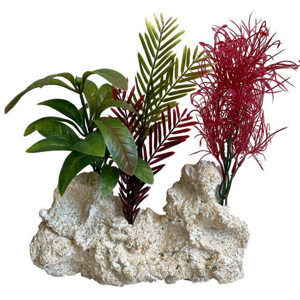 Sydeco Maxi Rocky Coast Plant 28 cm hoch [P2] – Aquarium-Deko für das Aquarium bei AquascapingForLife