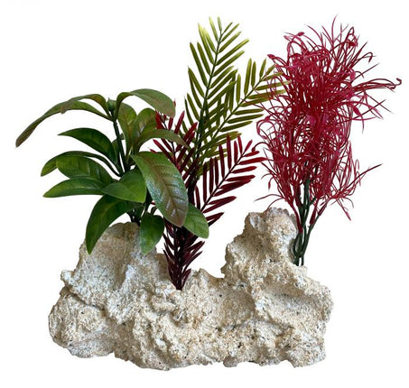 Sydeco Maxi Rocky Coast Plant 28 cm hoch [P2] – Aquarium-Deko für das Aquarium bei AquascapingForLife