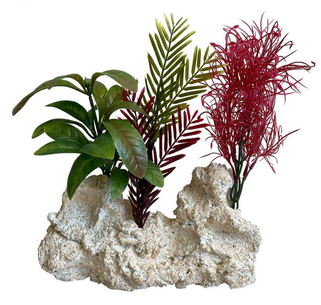 Sydeco Maxi Rocky Coast Plant 28 cm hoch [P2] – Aquarium-Deko für das Aquarium bei AquascapingForLife