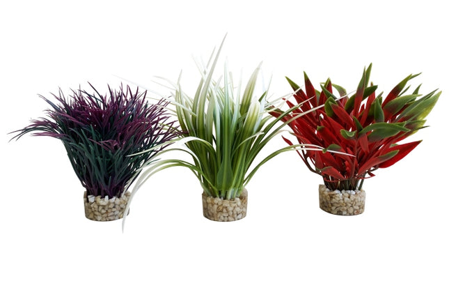 Sydeco Nano Fiesta 15 cm hoch [P24] – Kunststoffpflanzen für das Aquarium bei AquascapingForLife
