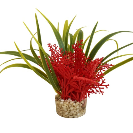 Sydeco Nano Fiesta Flower 14 cm hoch [P24] – Ansicht 3
