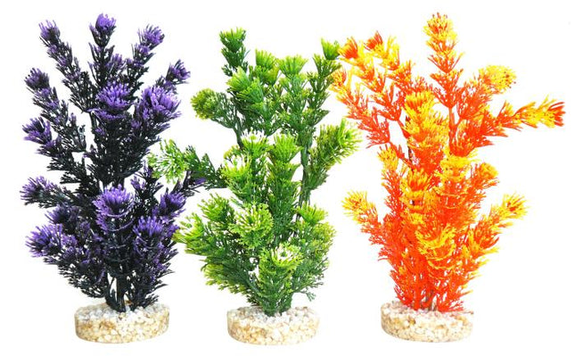 Sydeco Fiesta Aquaplant 24 cm hoch [P6] – Aquarium-Deko für das Aquarium bei AquascapingForLife
