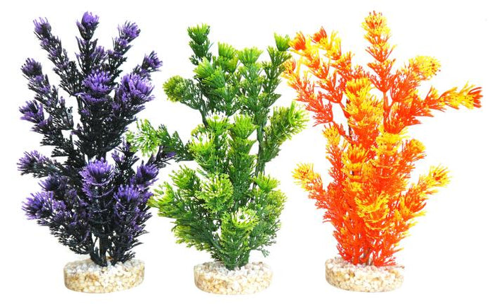 Sydeco Fiesta Aquaplant 24 cm hoch [P6] – Aquarium-Deko für das Aquarium bei AquascapingForLife
