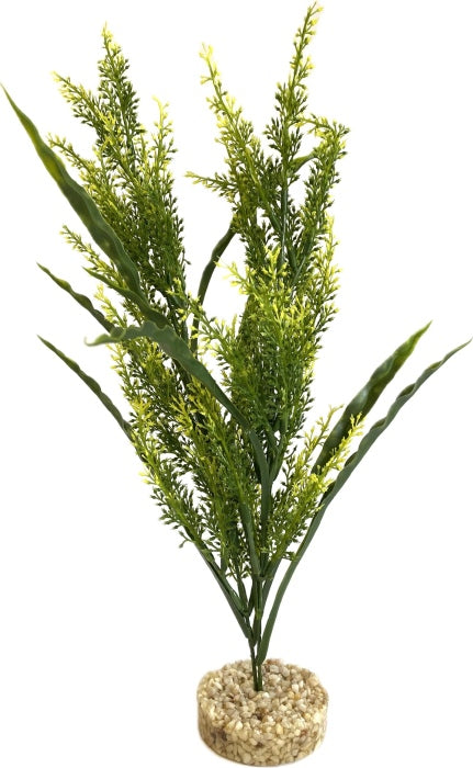 Sydeco Aqua Forest Sicily 40 cm hoch [P4] – Restposten/Sonderposten für das Aquarium bei AquascapingForLife