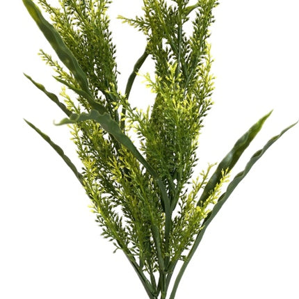 Sydeco Aqua Forest Sicily 40 cm hoch [P4] – Restposten/Sonderposten für das Aquarium bei AquascapingForLife