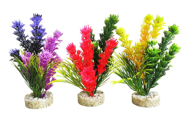 Sydeco Magic Fiesta Colours 16 cm hoch [P12] – Aquarium-Deko für das Aquarium bei AquascapingForLife