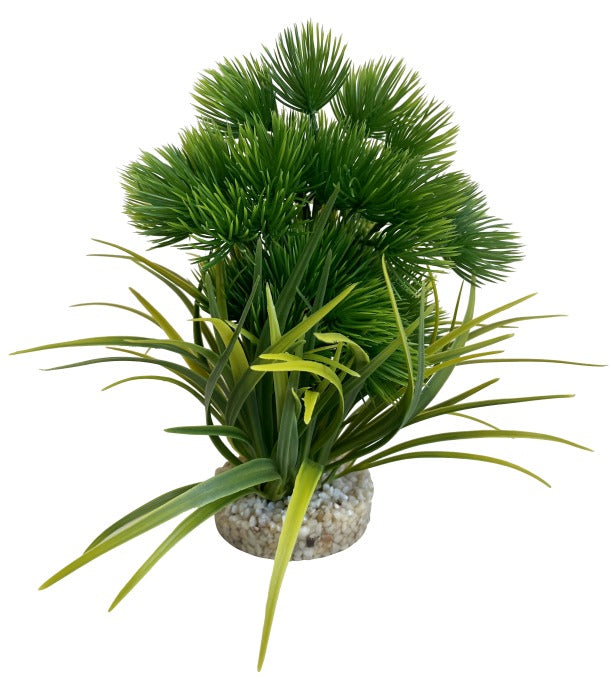 Sydeco Wild Moss 24 cm hoch [P4] – Aquarium-Deko für das Aquarium bei AquascapingForLife