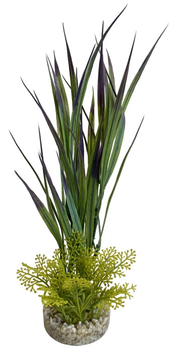 Sydeco Amazon Grass 26 cm hoch [P6] – Aquarium-Deko für das Aquarium bei AquascapingForLife