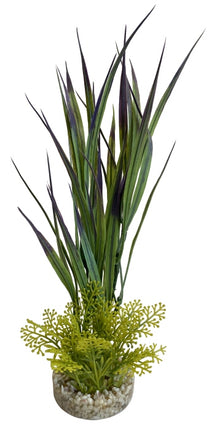 Sydeco Amazon Grass 26 cm hoch [P6] – Aquarium-Deko für das Aquarium bei AquascapingForLife