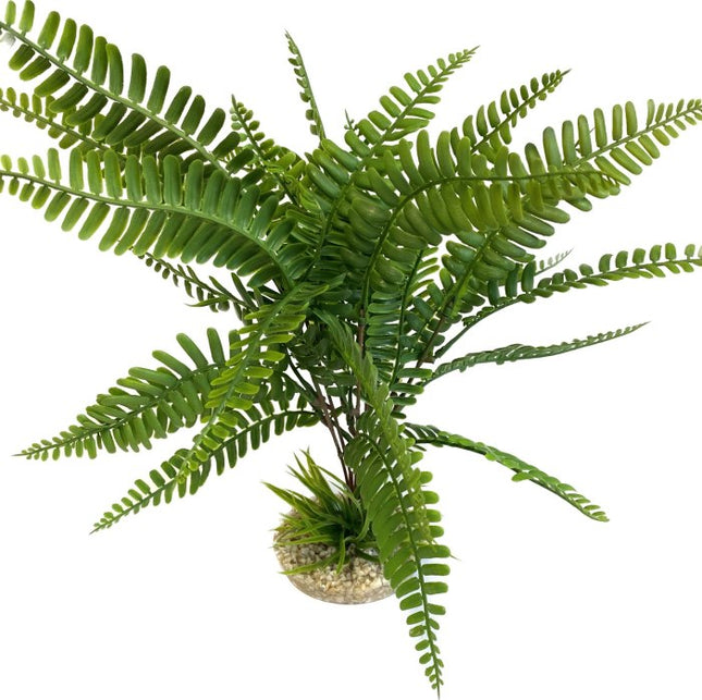 Sydeco Anubias Plant 28 cm hoch [P4] – Kunststoffpflanzen für das Aquarium bei AquascapingForLife