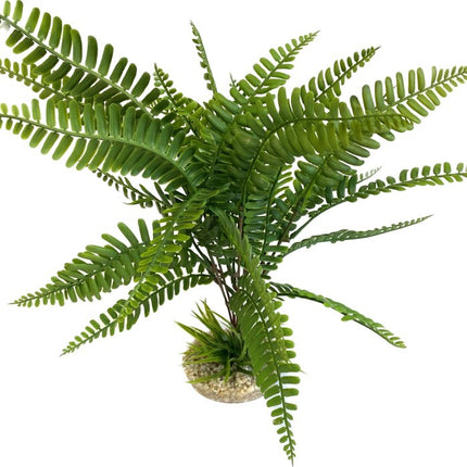 Sydeco Anubias Plant 28 cm hoch [P4] – Kunststoffpflanzen für das Aquarium bei AquascapingForLife