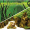 Hobby (Dohse) Fotorückwand Canyon / Woodland (0,3 x 25 m) – Rückwände & Poster für das Aquarium bei AquascapingForLife