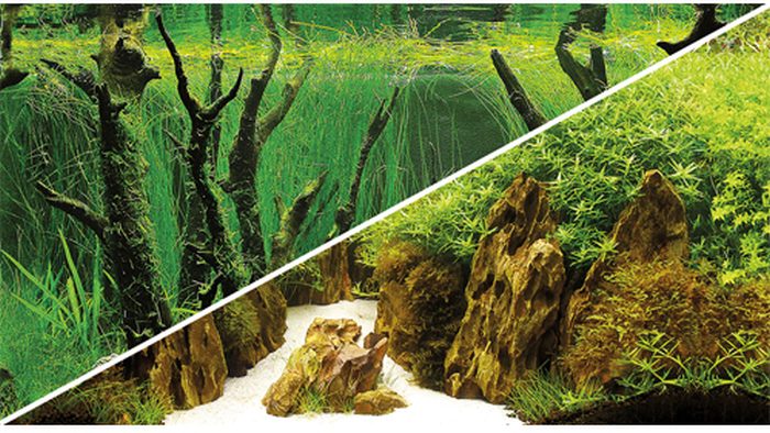 Hobby (Dohse) Fotorückwand Canyon / Woodland (0,3 x 25 m) – Rückwände & Poster für das Aquarium bei AquascapingForLife