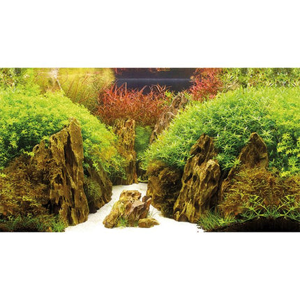 Hobby (Dohse) Fotorückwand Zuschnitt Canyon/Woodland – Ansicht 4