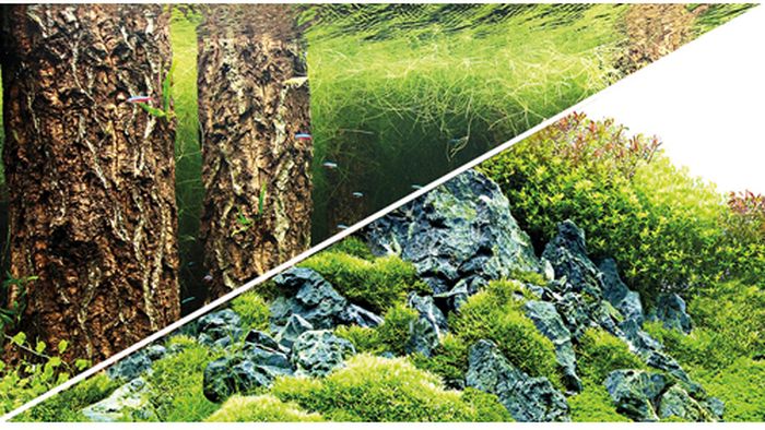 Hobby (Dohse) Fotorückwand Scaper's Hill /Forest (0,3 x 25 m) – Rückwände & Poster für das Aquarium bei AquascapingForLife
