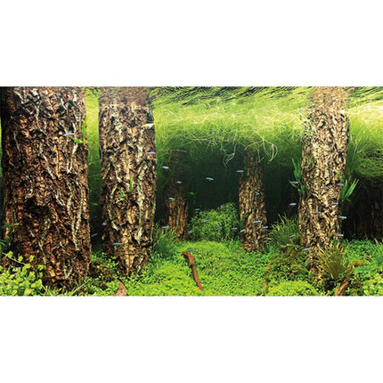 Hobby (Dohse) Fotorückwand Zuschnitt Scaping Hill/Scaping Forest – Ansicht 3