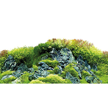 Hobby (Dohse) Fotorückwand Zuschnitt Scaping Hill/Scaping Forest – Ansicht 12