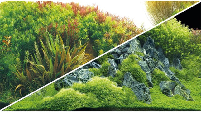 Hobby (Dohse) Fotorückwand Planted River/Green Rocks (0,3 x 25 m) – Rückwände & Poster für das Aquarium bei AquascapingForLife