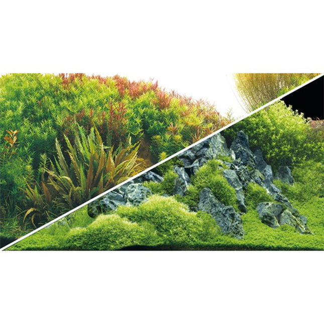 Hobby (Dohse) Fotorückwand River/Rocks – Rückwände & Poster für das Aquarium bei AquascapingForLife