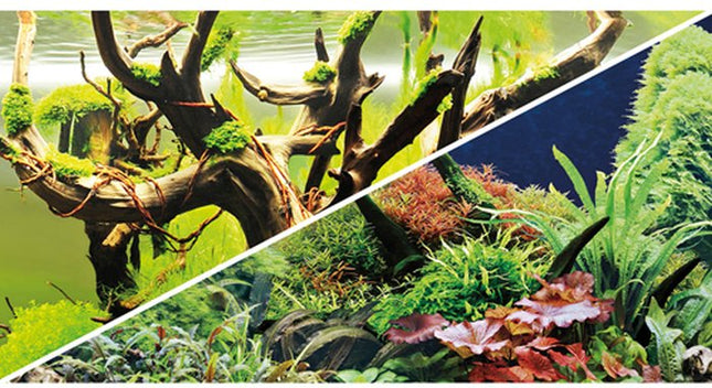 Hobby (Dohse) Fotorückwand Green Secret/Wood Island (0,5 x 25 m) – Rückwände & Poster für das Aquarium bei AquascapingForLife