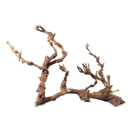 Hobby (Dohse) Weinrebenwurzel Jumbo (ca. 50-70 cm) – Aquarium-Deko für das Aquarium bei AquascapingForLife