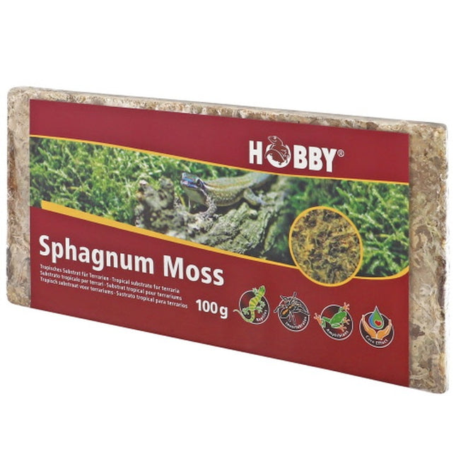 Hobby (Dohse) Sphagnum Moss (100 g) – Bodengrund für das Aquarium bei AquascapingForLife
