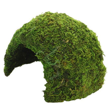 Hobby (Dohse) Jungle Cave 1 (11 x 11 x 9 cm) – Ansicht 2