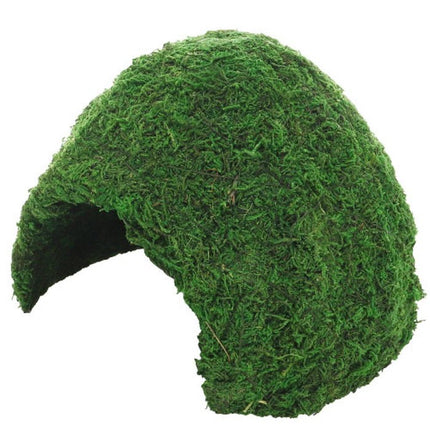 Hobby (Dohse) Jungle Cave 3 (23 x 23 x 18 cm) – Ansicht 2