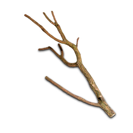 Hobby (Dohse) Korktronchos L (75-100 cm) – Aquarium-Deko für das Aquarium bei AquascapingForLife
