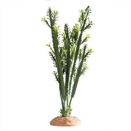 Hobby (Dohse) Euphorbia – Ansicht 2