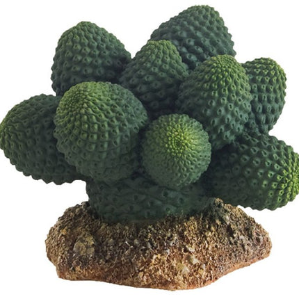 Hobby (Dohse) Kaktus Atacama Höhe 7 cm – Aquarium-Deko für das Aquarium bei AquascapingForLife