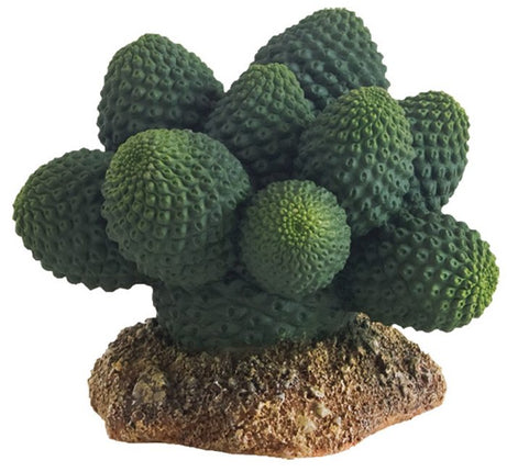 Hobby (Dohse) Kaktus Atacama Höhe 7 cm – Aquarium-Deko für das Aquarium bei AquascapingForLife
