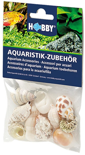 Hobby (Dohse) Sea Shells Set – Ornamente und sonstige Dekoration für das Aquarium bei AquascapingForLife