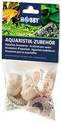 Hobby (Dohse) Sea Shells Set – Ansicht 2