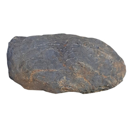 Hobby (Dohse) Blue Marbled Rock – Ansicht 3