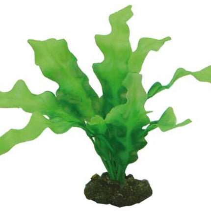 Hobby (Dohse) Echinodrus (20 cm) – Kunststoffpflanzen für das Aquarium bei AquascapingForLife