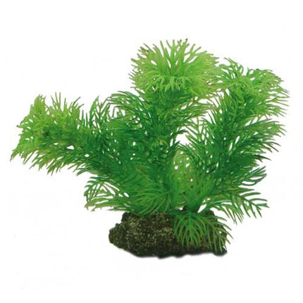 Hobby (Dohse) Egeria – Ansicht 2